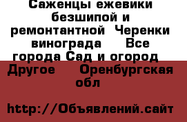 Саженцы ежевики безшипой и ремонтантной. Черенки винограда . - Все города Сад и огород » Другое   . Оренбургская обл.